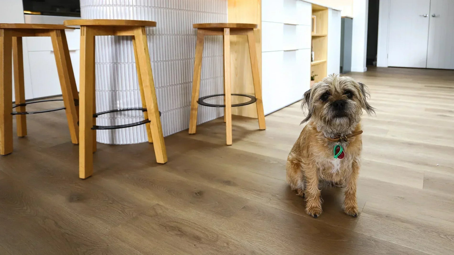 What is the Best Flooring for Homes With Pets?