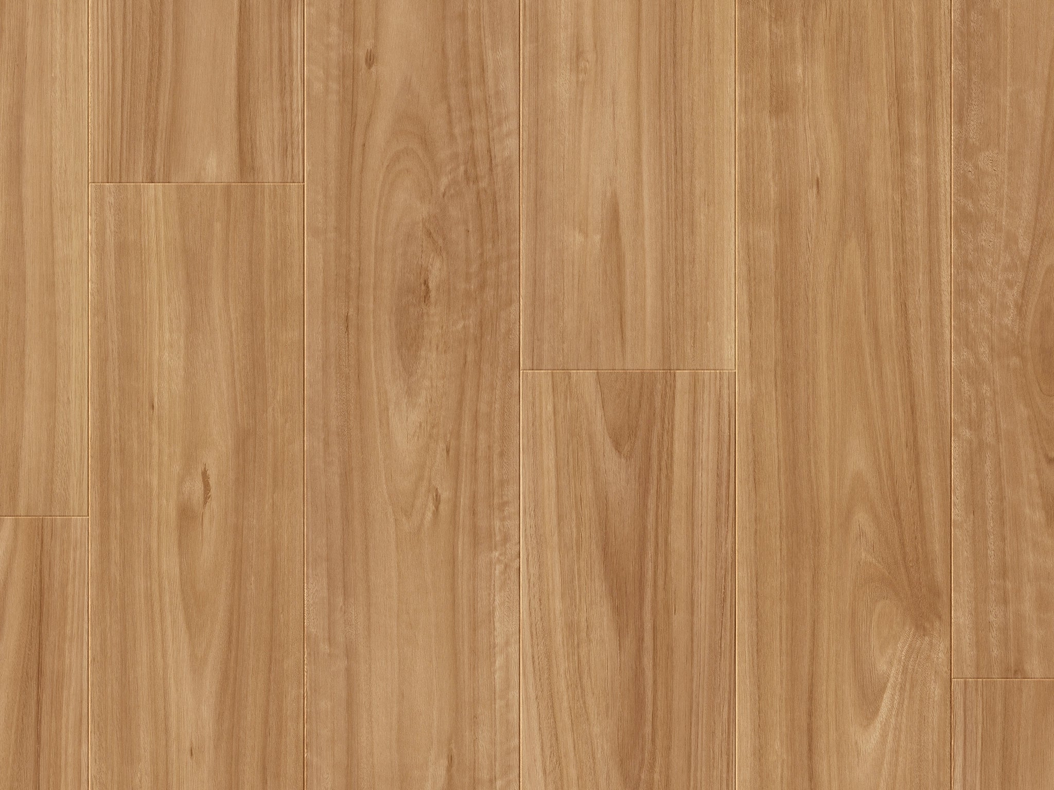 Quickstep Impressive