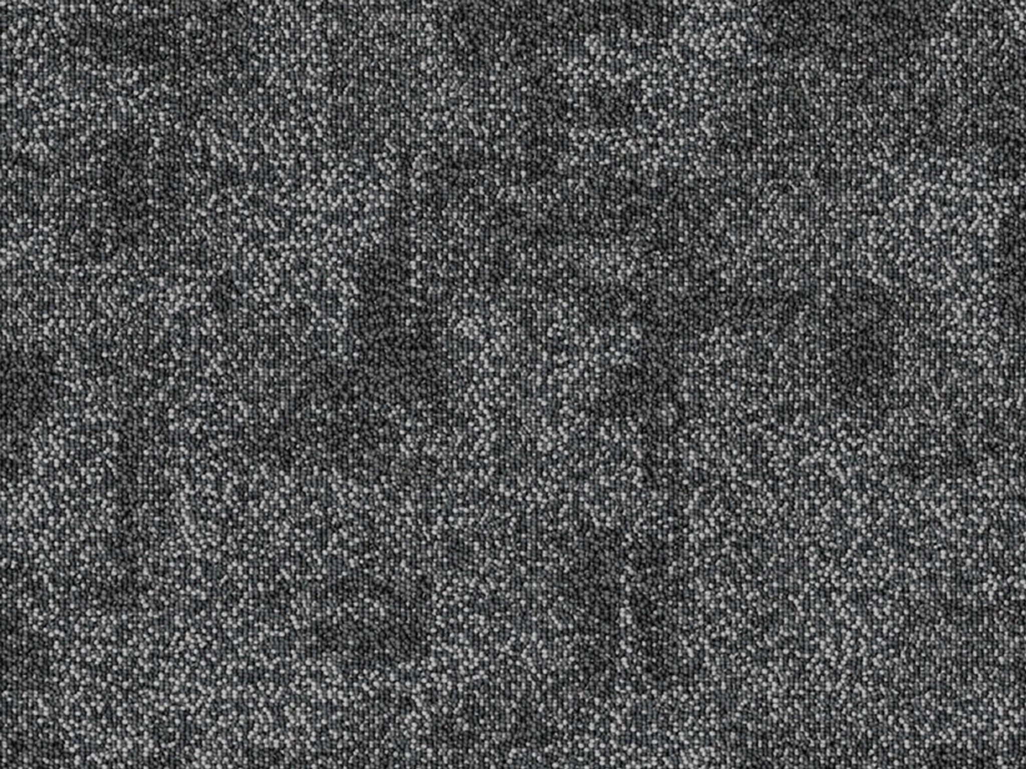 Organix-Carpet Court