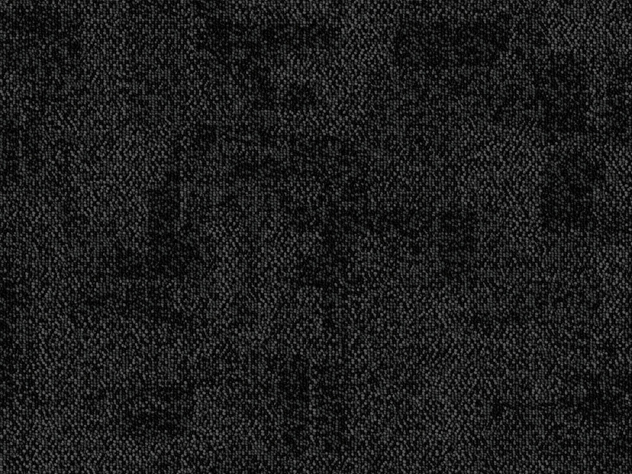 Organix-Carpet Court