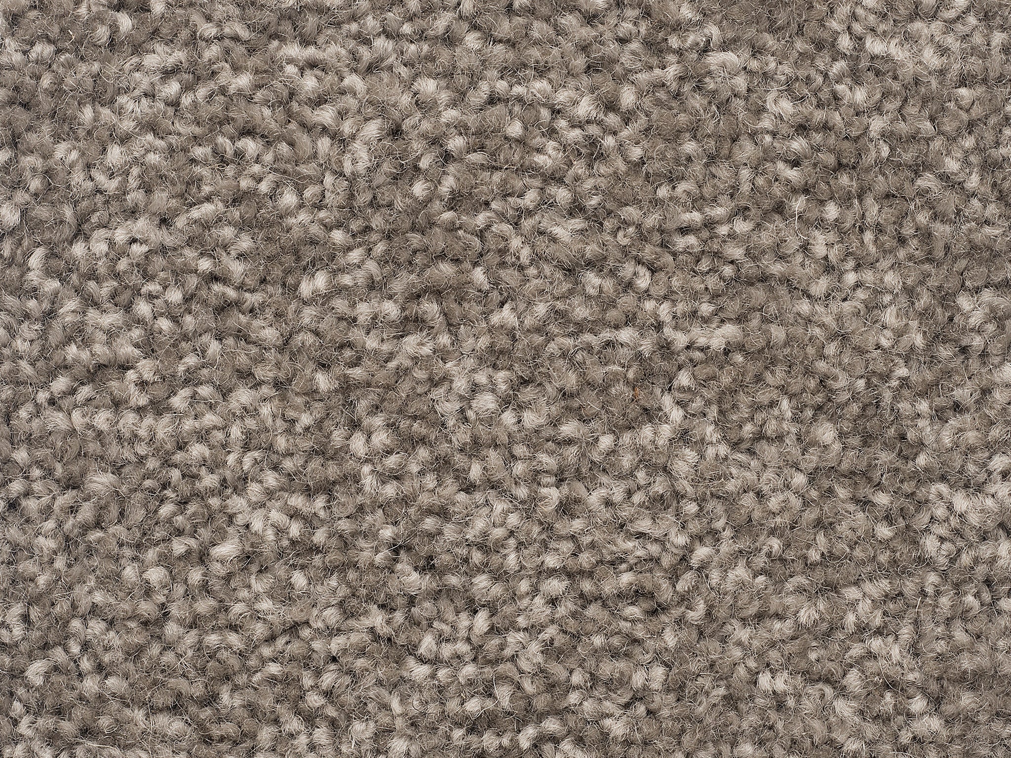 The Hamptons-Carpet Court