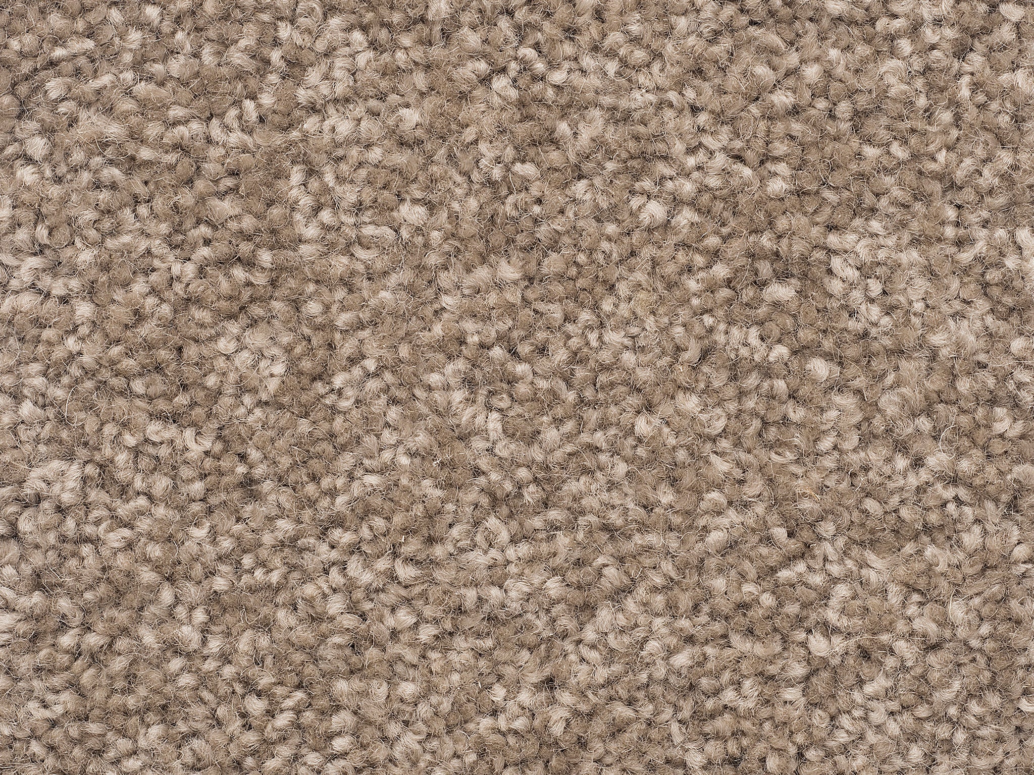 The Hamptons-Carpet Court