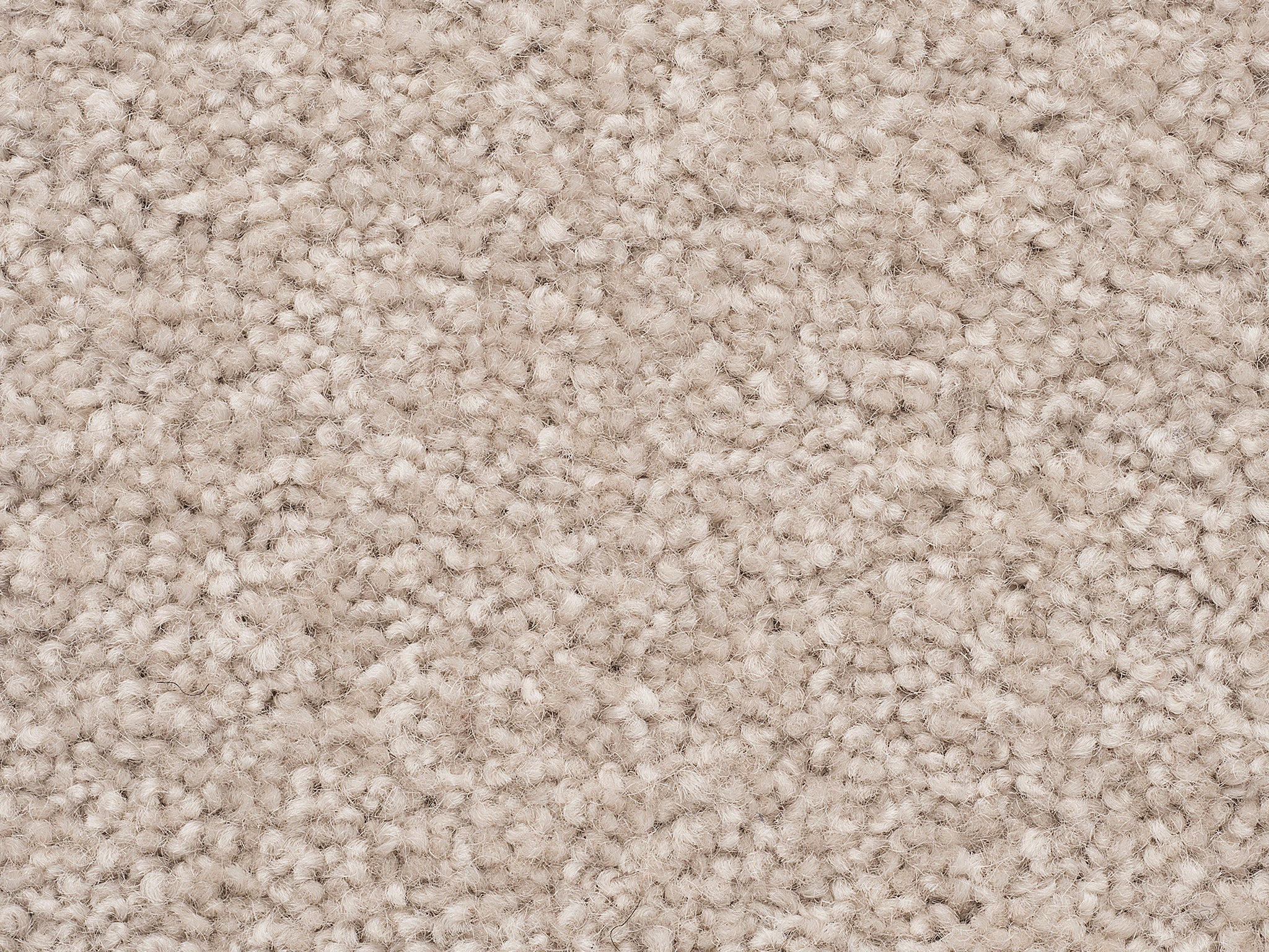 The Hamptons-Carpet Court