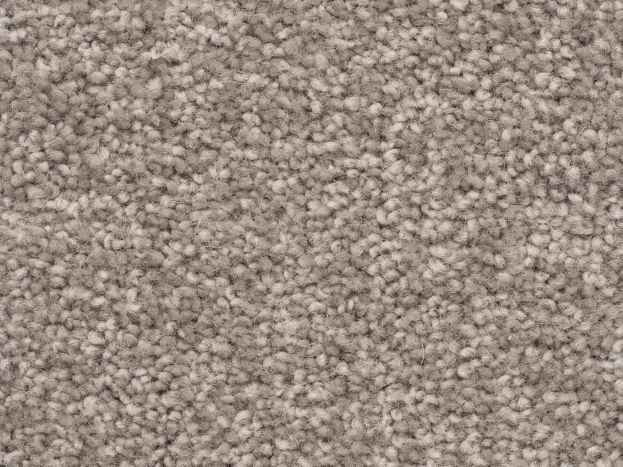 The Hamptons-Carpet Court