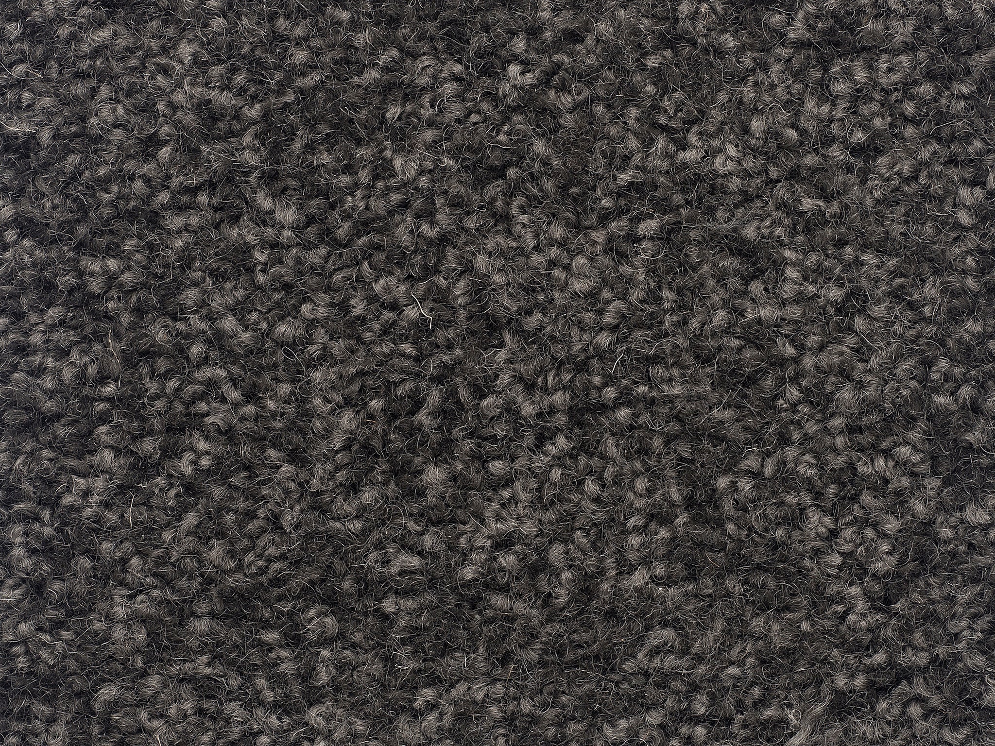 The Hamptons-Carpet Court