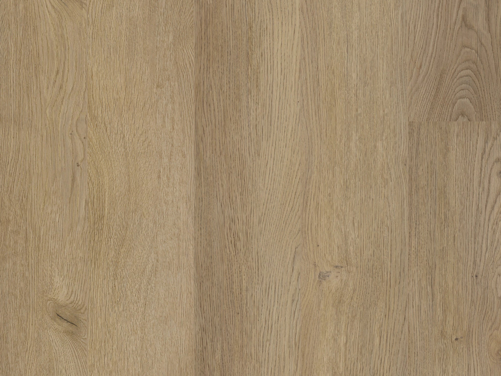 COREtec XL-End-Carpet Court