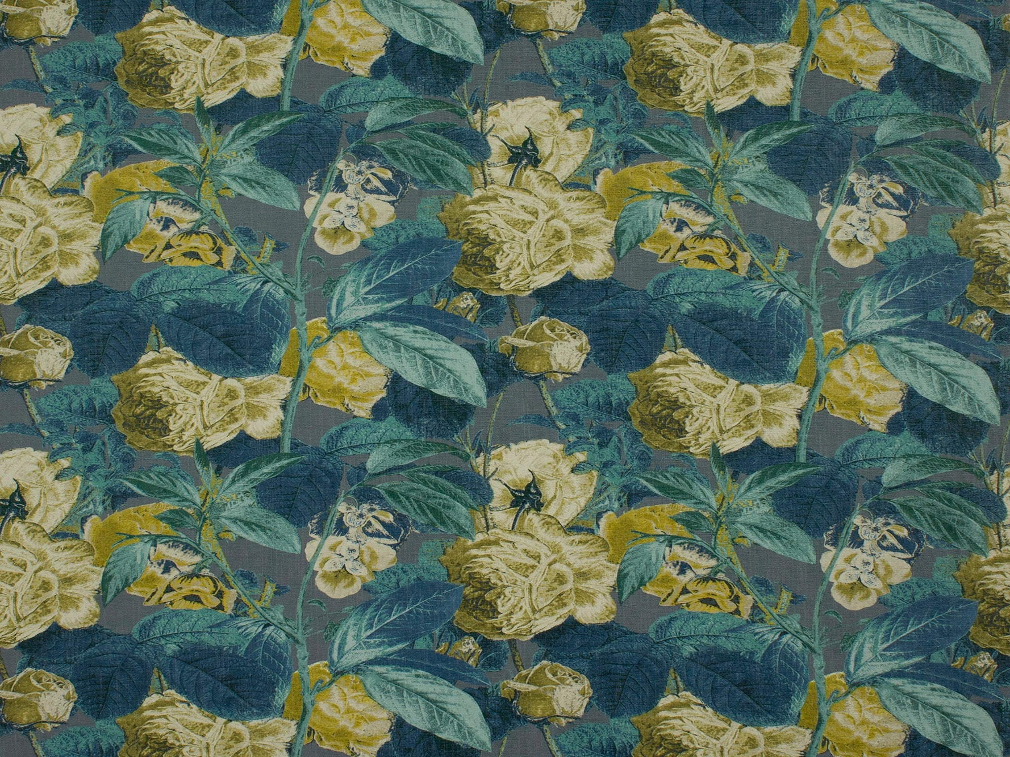 Adelle-Curtain Studio