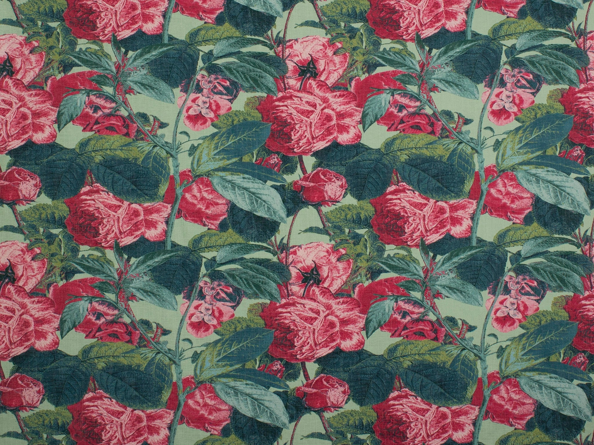 Adelle-Curtain Studio