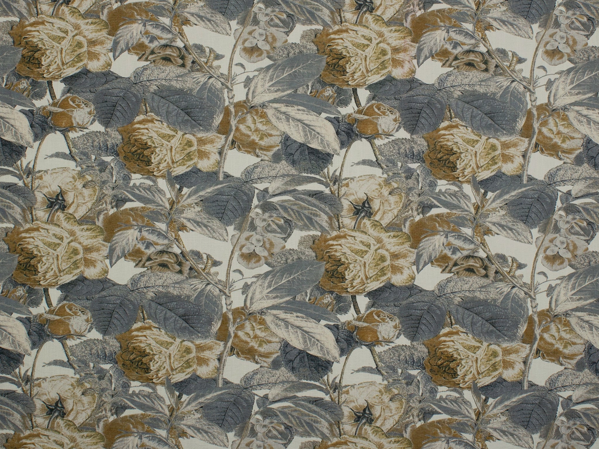 Adelle-Curtain Studio