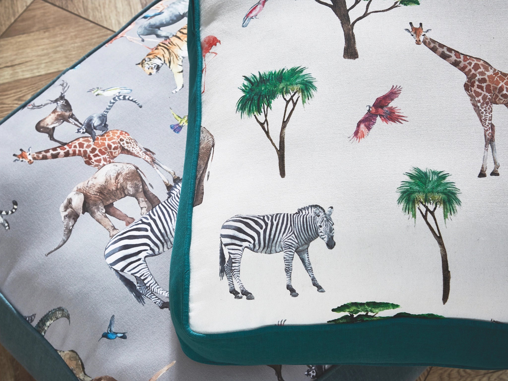 Animal Kingdom-Curtain Studio