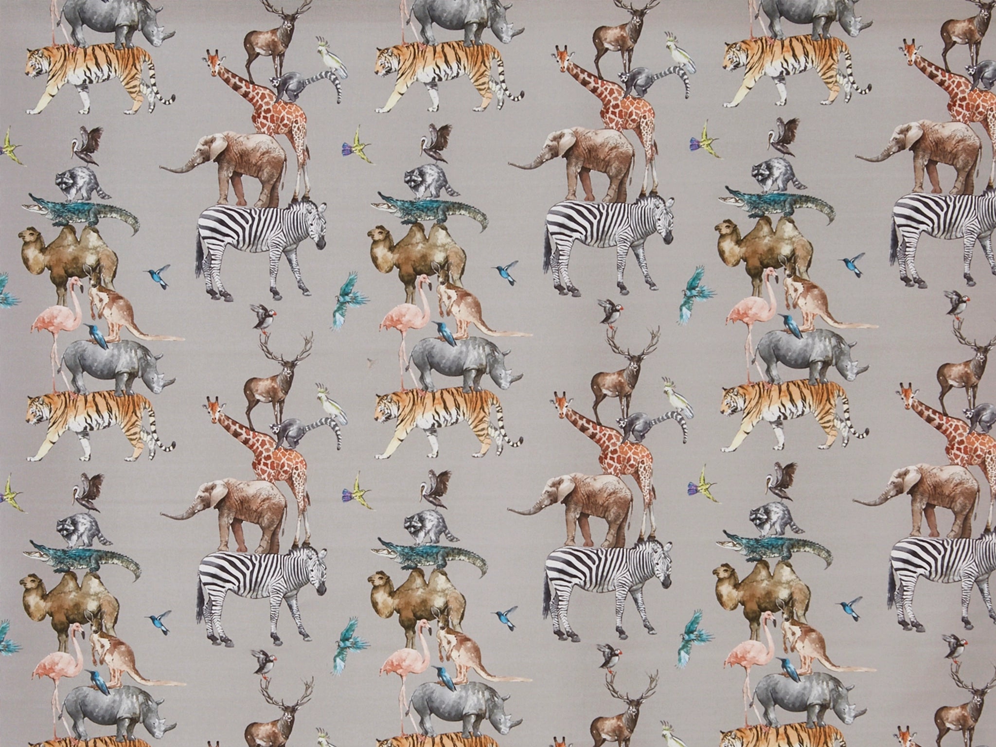 Animal Kingdom-Curtain Studio