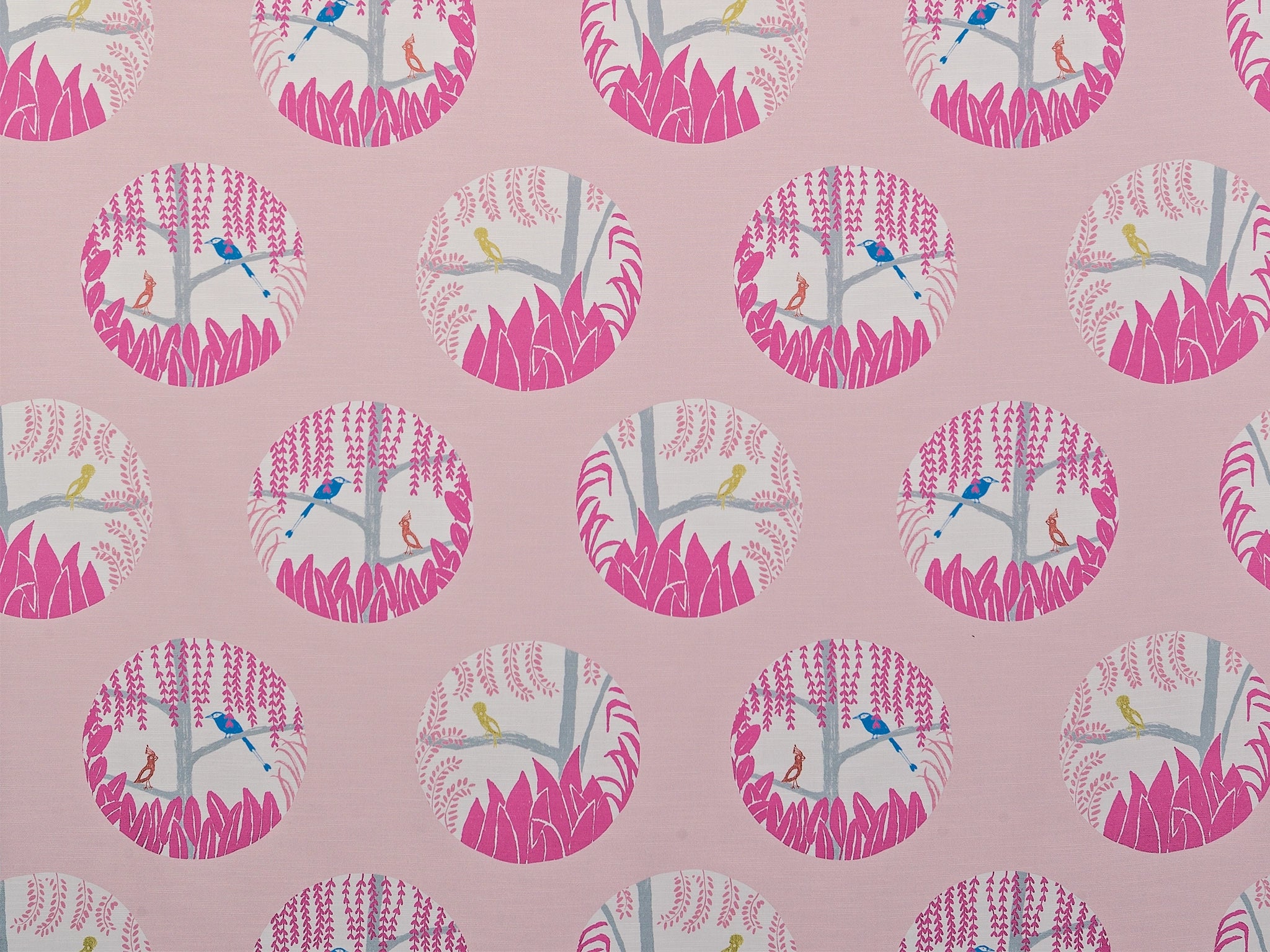 Chirpy Chats-Curtain Studio