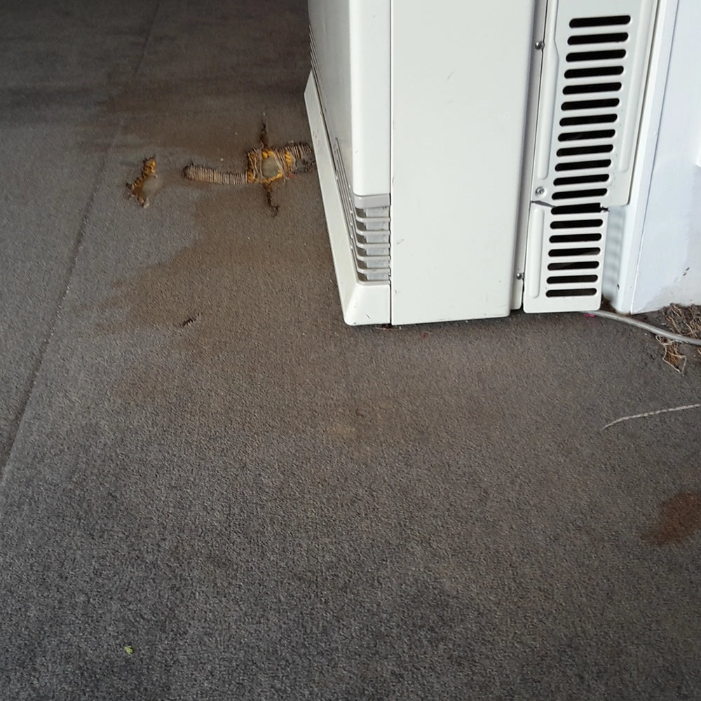 petone-central-school-before-1080x1080-The Interiors Group