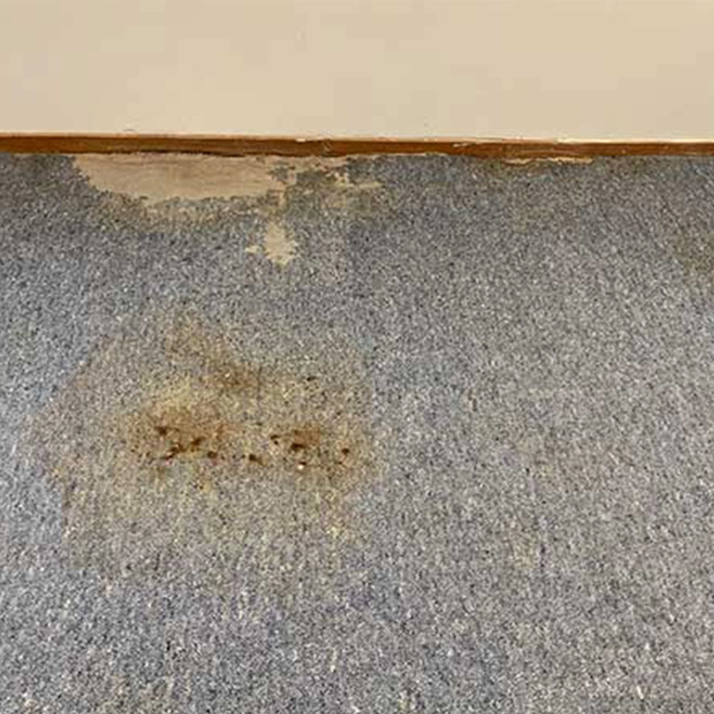 te-kohanga-reo-o-te-arapeta-before-1080x1080-The Interiors Group